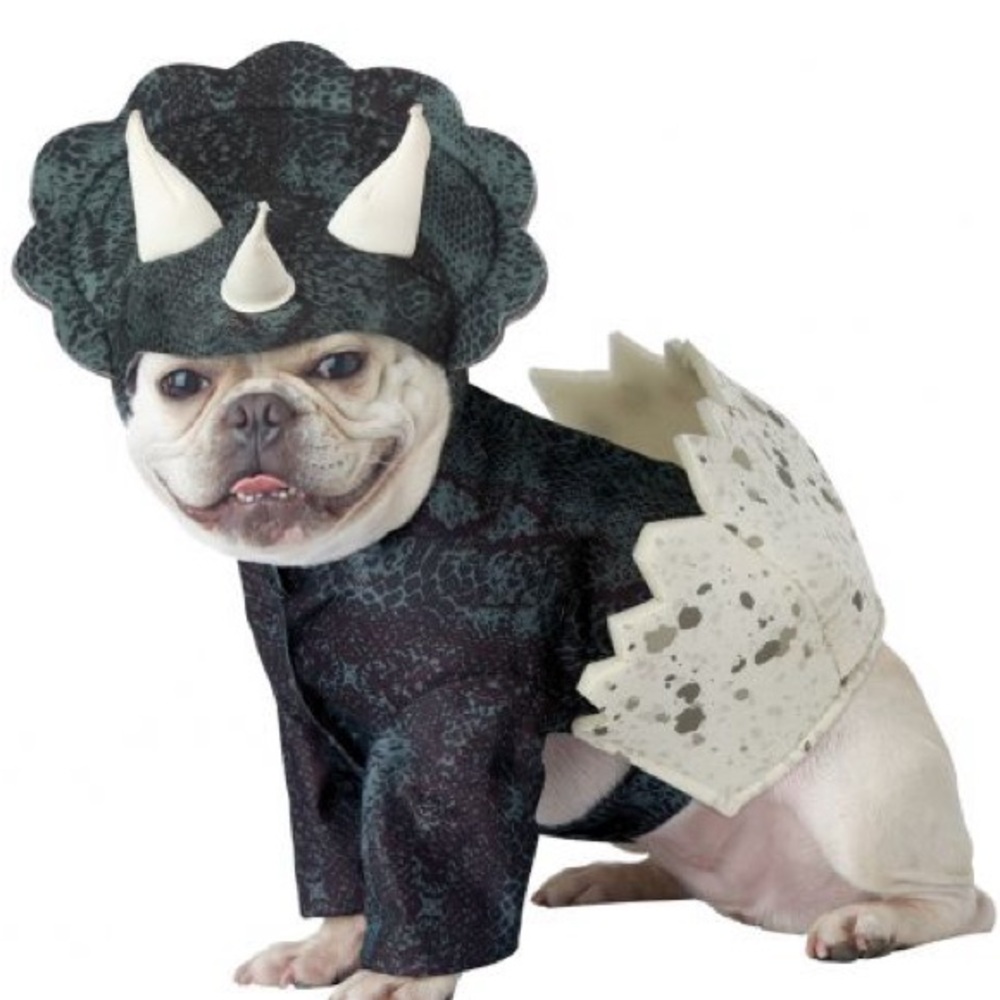 impawsters Dinosaur Dino Pup Dog Pet Costume